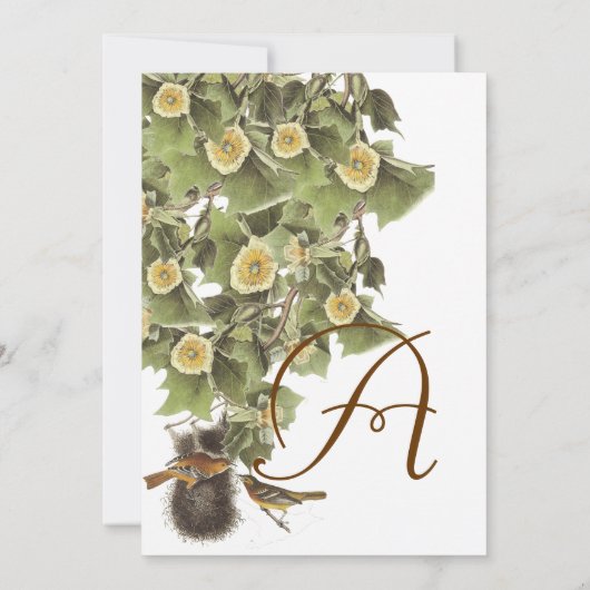 Invitation Inséparables Nesting Aqua Blue Font Mariage (Dos)