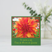 Invitation Invitación - Cena de Acción De Gracias (Debout devant)