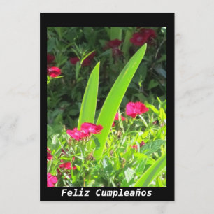 Invitation Invitación - Feliz Cumpleaños - Fleurs roses