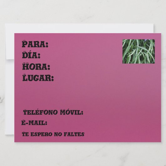 Invitation Invitación - Fiesta de Cumpleaños (Dos)