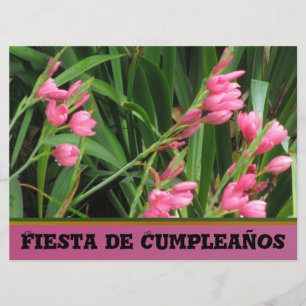 Invitation Invitación - Fiesta de Cumpleaños