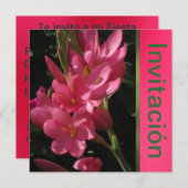 Invitation Invitación - Fiesta de Cumpleaños - Rosa (Devant / Derrière)