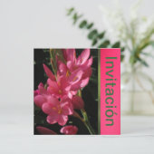 Invitation Invitación - Fiesta de Cumpleaños - Rosa (Debout devant)