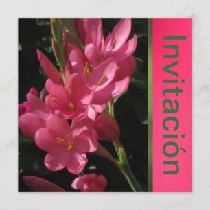 Invitation Invitación - Fiesta de Cumpleaños - Rosa