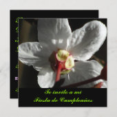Invitation Invitación - L'invito a mi Fiesta de Cumpleaños (Devant / Derrière)