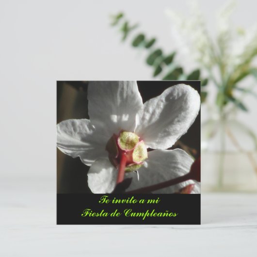 Invitation Invitación - L'invito a mi Fiesta de Cumpleaños (Debout devant)