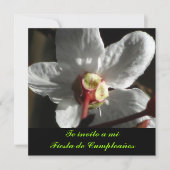 Invitation Invitación - L'invito a mi Fiesta de Cumpleaños (Devant)