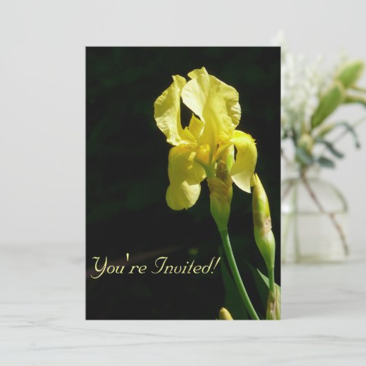 Invitation Iris barbu jaune (Debout devant)