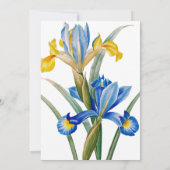 Invitation Iris d'Espagne par Pierre-Joseph Redouté (Dos)
