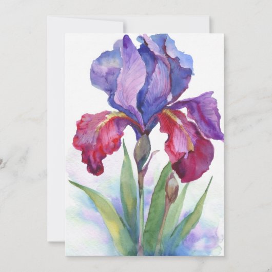 Invitation Iris violet et rouge (Devant)