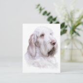 Invitation Italien Spinone Italiano (Debout devant)