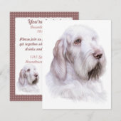 Invitation Italien Spinone Italiano (Devant / Derrière)