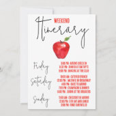 Invitation Itinéraire du week-end du Bachelorette de New York (Dos)