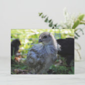 Invitation Jacinthe des bois (Debout devant)