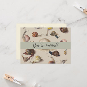 Invitation Jardin d'escargots Animaux de compagnie Gastropod 