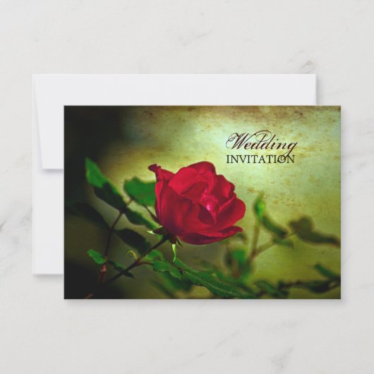 Invitation jardin rouge rose steampunk gothique mariage (Devant)