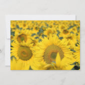 Invitation Jaune Fleur de soleil Anniversaire (Dos)