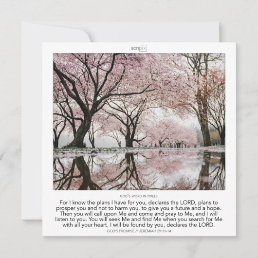 Invitation Jérémie 29:11-14 PROMESSE DE DIEU SCRIPIX (Devant)