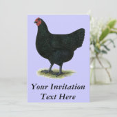Invitation Jersey Giant : Black Hen (Debout devant)