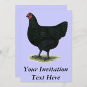 Invitation Jersey Giant : Black Hen (Devant / Derrière)
