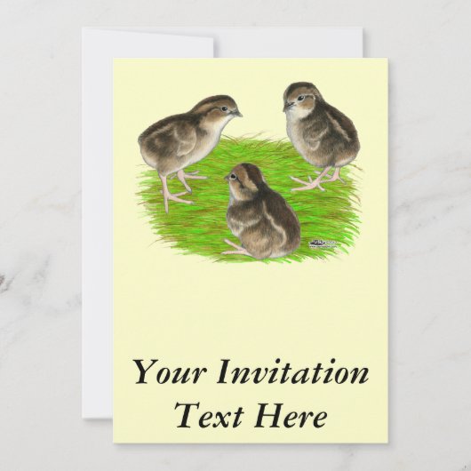 Invitation Jeunes cailles de Bobwhite (Devant)