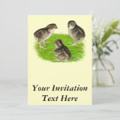 Invitation Jeunes cailles de Bobwhite (Debout devant)