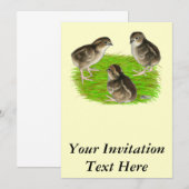 Invitation Jeunes cailles de Bobwhite (Devant / Derrière)