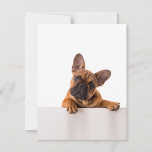 Invitation Joli Bouledogue Vraiment Mignon, Bouledogue Angl