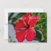 Invitation Joli brunch Fête de l'mariée à fleurs (Dos)