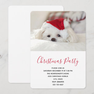Invitation Joli chien blanc avec un chapeau de Noël rouge