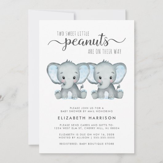 Invitation Joli Elephant Twin Boys Baby shower Par Mail (Devant)