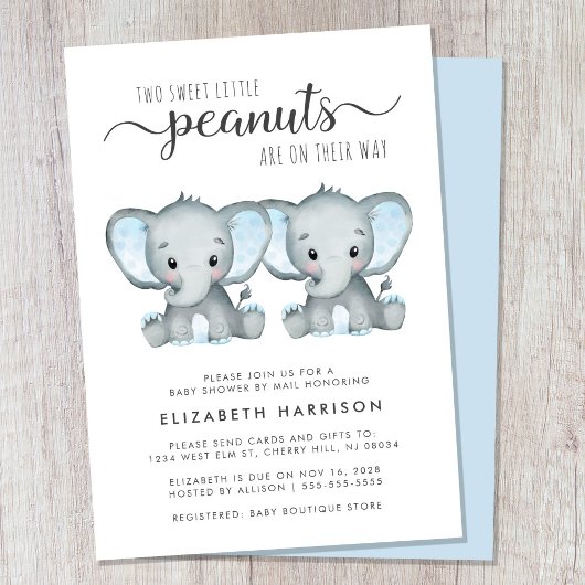 Invitation Joli Elephant Twin Boys Baby shower Par Mail