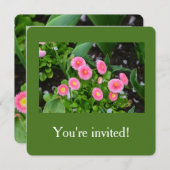 Invitation Joli jardin rose marguerite fleurs graduation (Devant / Derrière)