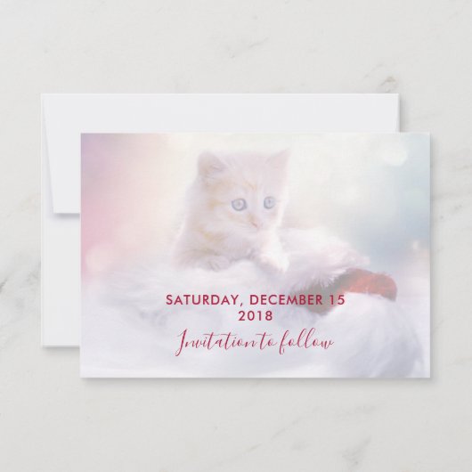 Invitation Joli Kitten de Noël Enregistrer la date (Dos)