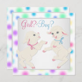 Invitation Joli Pastel Lamb Genre Révélation (Devant / Derrière)