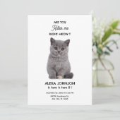 Invitation Joli petit chat  (Debout devant)