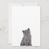 Invitation Joli petit chaton  (Dos)