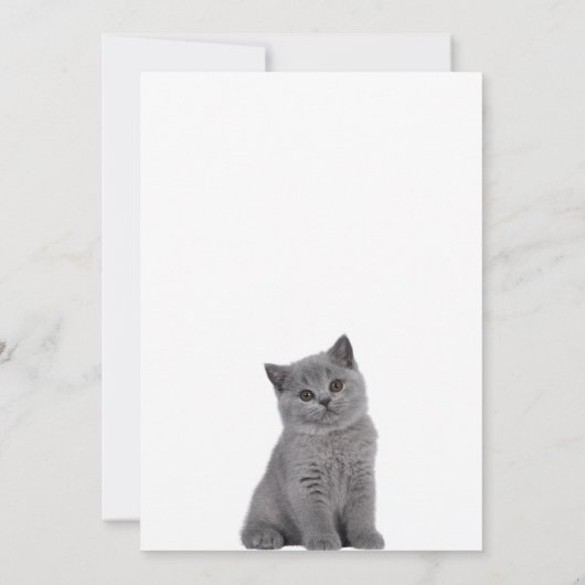 Invitation Joli petit chaton  (Dos)