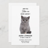 Invitation Joli petit chaton  (Devant / Derrière)