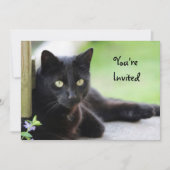 Invitation Jolie Black Cat Photo Anniversaire (Devant)