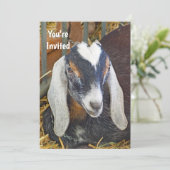 Invitation Jolie chèvre nubienne photo Anniversaire (Debout devant)