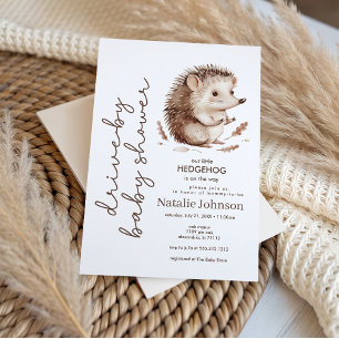 Invitation Jolie Douce Petite Hérisson Fête de Naissance Driv
