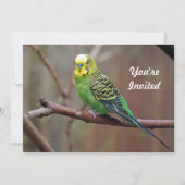 Invitation Jolie Perruche verte photo Anniversaire (Devant)