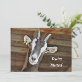 Invitation Jolie photo Brown et blanche de chèvre Anniversair (Debout devant)