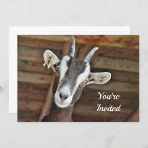 Invitation Jolie photo Brown et blanche de chèvre Anniversair