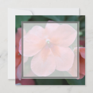 Invitation Jolies fleurs de jardin roses mariage blanc, fête,