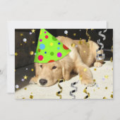 Invitation Jour d'anniversaire Golden Retriever (Devant)
