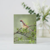 Invitation Joyeux anniversaire aquarelle Whitethroat thème oi (Debout devant)