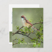 Invitation Joyeux anniversaire aquarelle Whitethroat thème oi (Devant / Derrière)