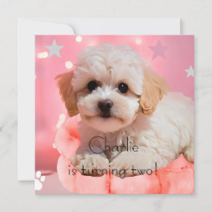 Invitation Joyeux Anniversaire Chien Faisons la Fête